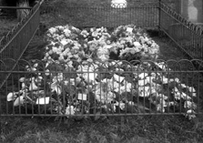 Unidentified cemetery. Floral tributes. *