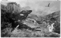 Mr V.C. Boles, The Lost Hind (1894) watercolour by Archibald Thorburn (1860-1935).*
