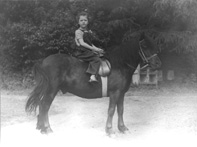 Miss Shaw-Mackenzie. Girl on pony. 