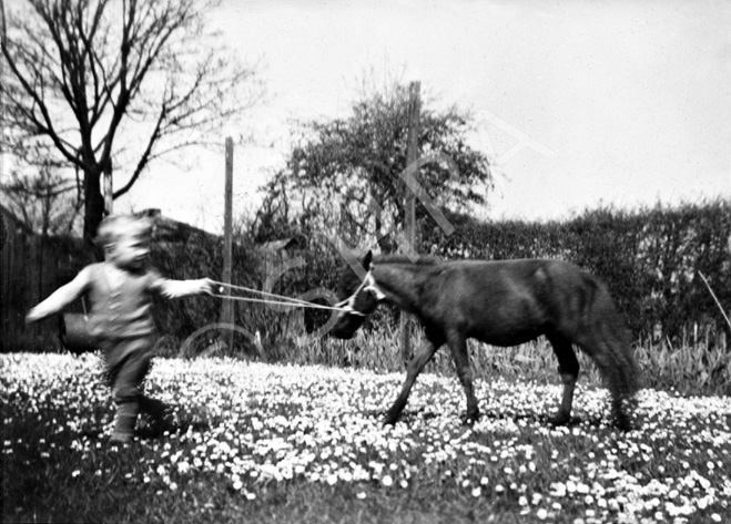 Mrs Butt, Lewiston, Drumnadrochit.  