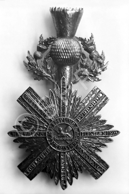 Military badge that features references to Egypt, Pyreness, Salamanca, Fuentes D'Onor, Peninsula, Toulouse, Waterloo, Nivelle Nive, and Egmont Op Zee.*