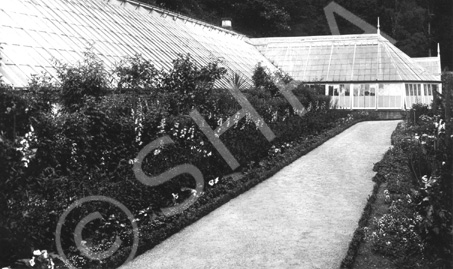 Cluny Castle greenhouses. Submitted by Catherine Cowing. * 