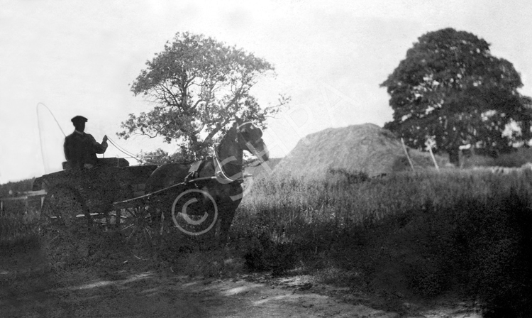 Donald MacGregor at Conrock Farm, Rothes. Submitted by Frank McGregor. 